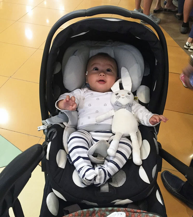 Peg Perego Primo Viaggio weight limit infant car seat - Baby Gear Essentials